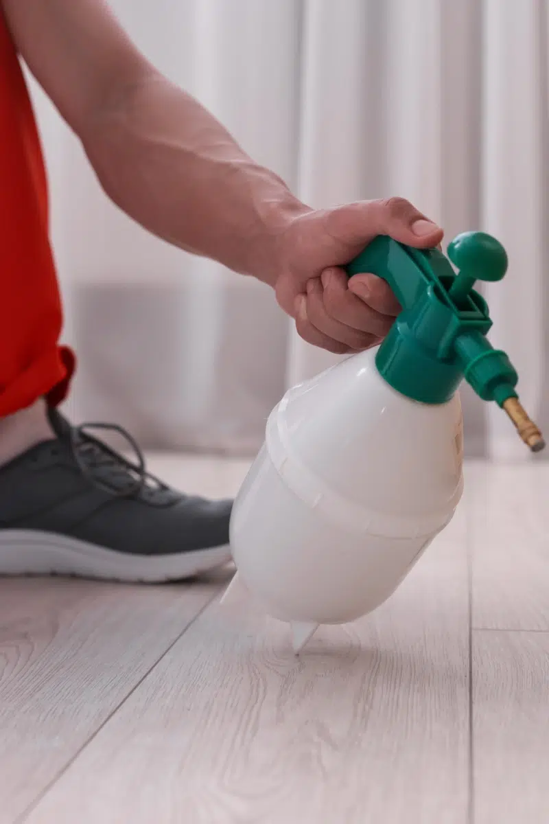 Nouveau projet - 2026-02-26T120904.953 Pest control worker spraying insecticide at home, closeup